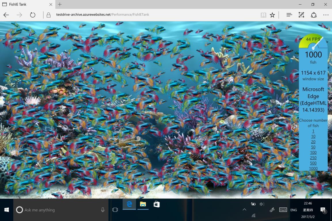 fish(03-03-14-58-51)